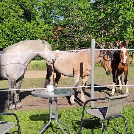 아파트 Zur Pferdekoppel