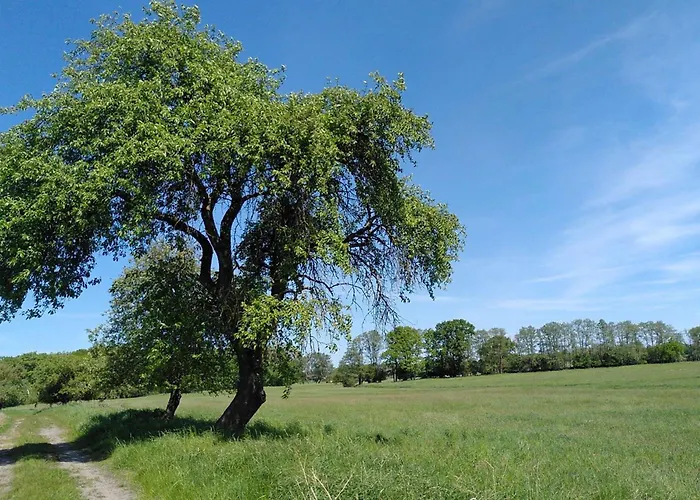 Zur Pferdekoppel شقة