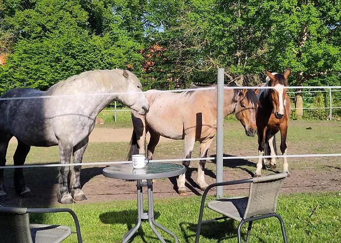 شقة Zur Pferdekoppel